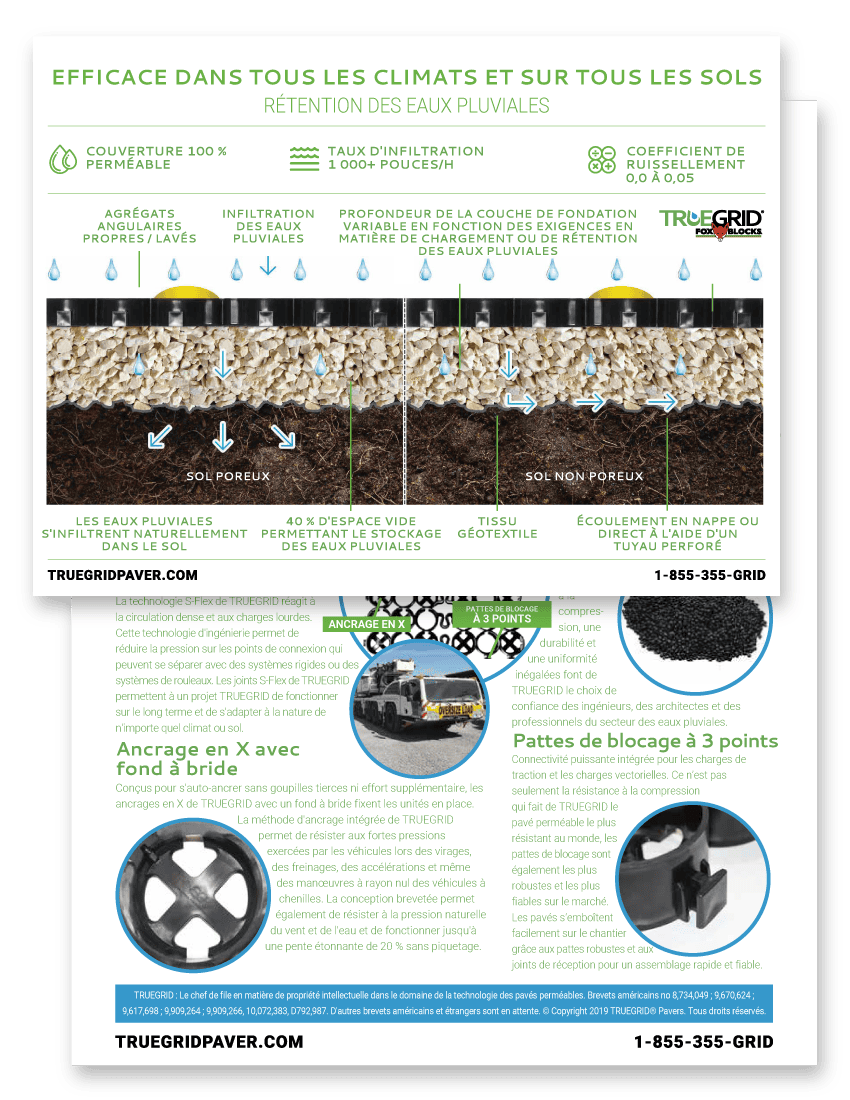 Cross Section Flyer (French)