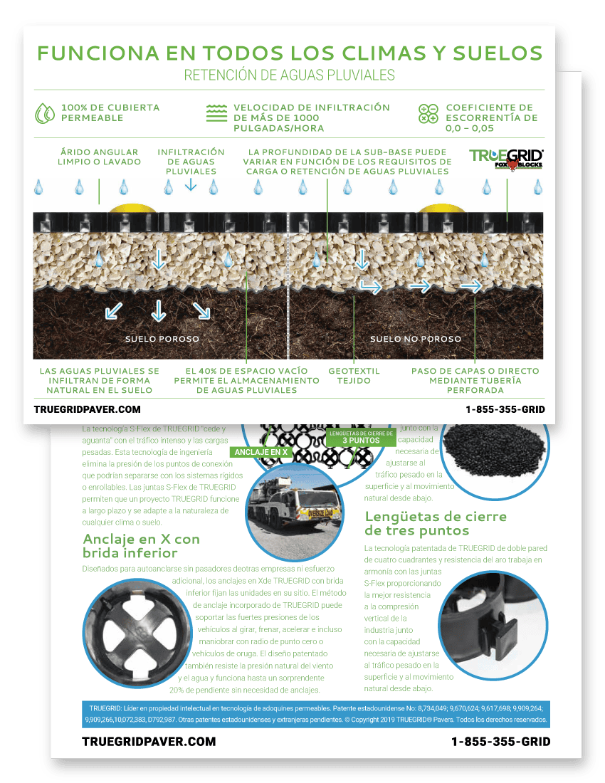 Cross Section Flyer - Spanish